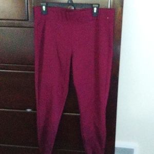 Maurices pull on pant